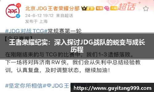 王者荣耀纪实：深入探讨JDG战队的蜕变与成长历程