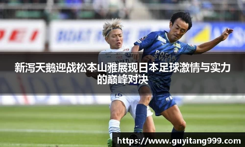 MRCAT猫先生APP